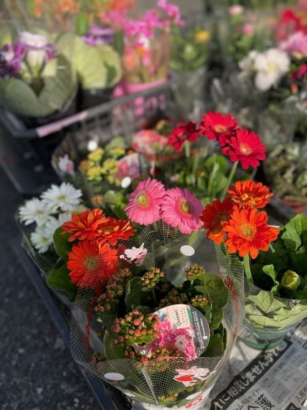 あい菜市の様子