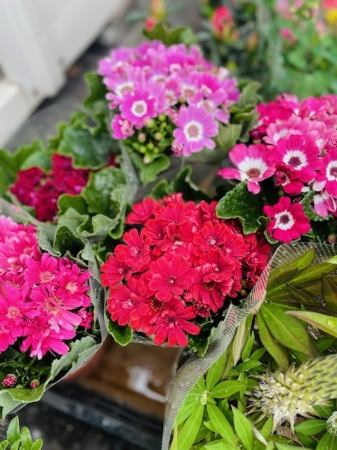 あい菜市の様子